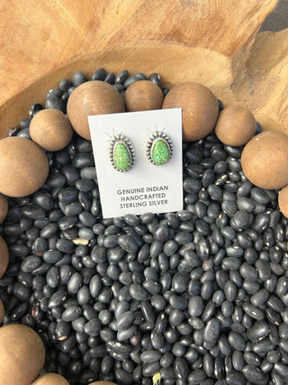 Sonoran Gold Studs