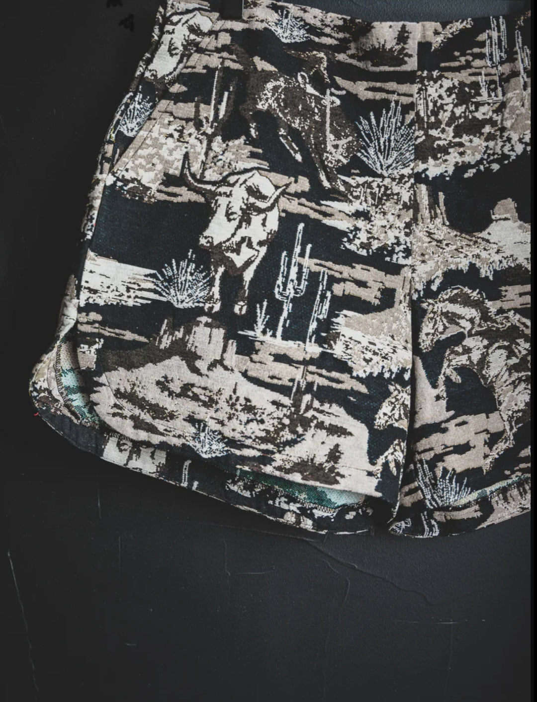 Little Rock Shorts