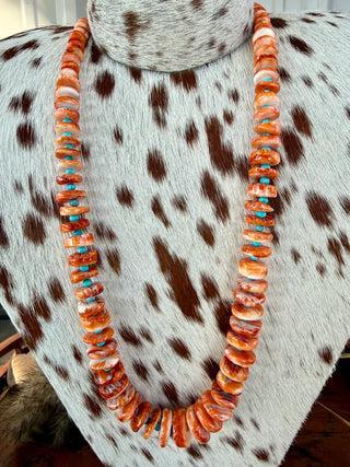 Authentic Orange Spiny Oyster & Turquoise Disc Necklace – 24”