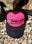 Hot Pink