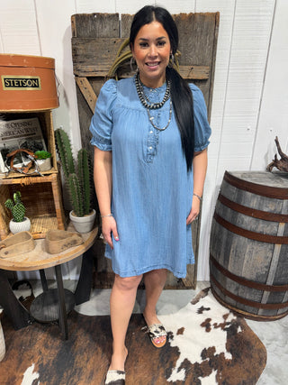 Chambray Puff Sleeve Dress | Tencel Denim Babydoll Dress with Pockets Large Chambray Puff Sleeve Dress | Tencel Denim Babydoll Dress with Pockets Large