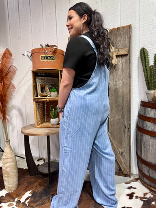 2 Fly Co Ranch Hand Pinstripe Denim Overalls | Western Wide Leg Button Front Jumpsuit