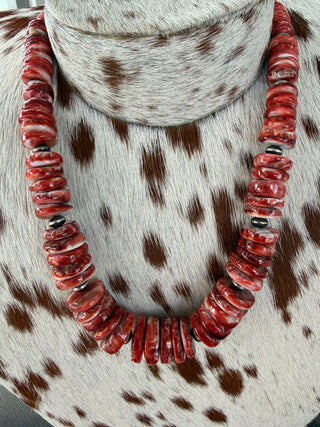 Spiny Oyster Graduated Coin Necklace – 18”