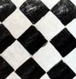 Black and white check