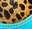 Cheetah/Turquoise