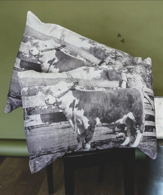 Herefordzzz Western Pillow Sham Set – 2 Piece-King - Barbwire n Bougie Boutique