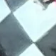 White/Black Check